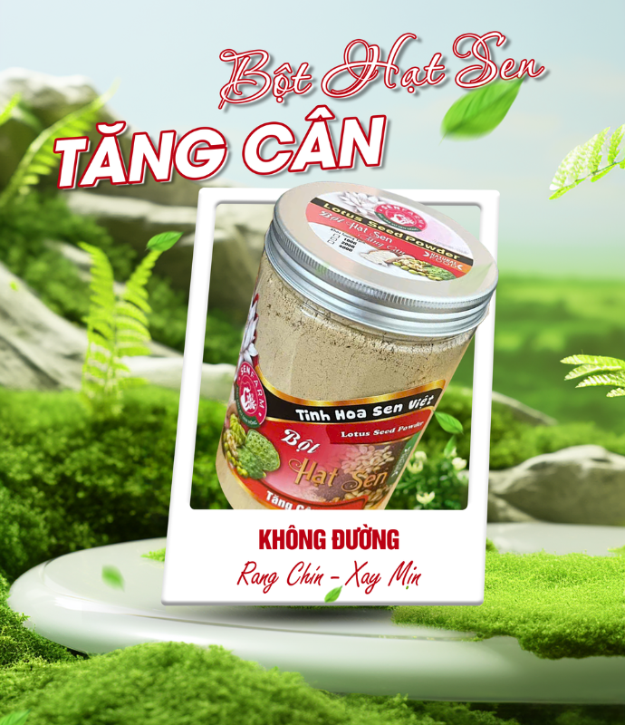 Bột hạt sen tăng cân
